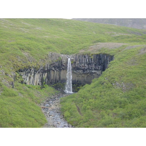 รูปถ่าย ไอซ์แลนด์(Iceland) สวาร์ติฟอส(Svartifoss) 2003-06 6