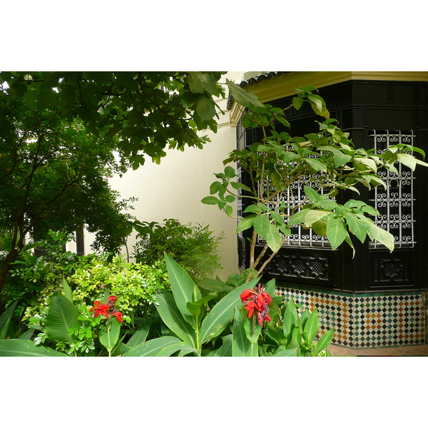 รูปถ่าย โมร็อกโก(Morocco) เฟส(Fes) โรงแรมปาเลจาไม(Palais Jamai Hotel) 2008-07 73