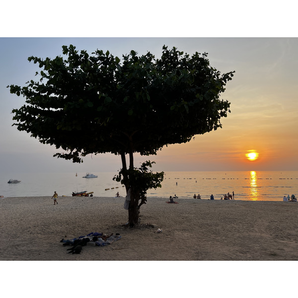 รูปถ่าย ไทย(Thailand) พัทยา(Pattaya) 2023-01 81
