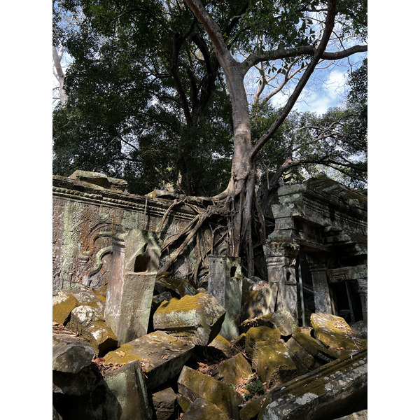 รูปถ่าย กัมพูชา(Cambodia) เสียมราฐ(Siem Reap) ปราสาทตาพรหม(Ta Prohm) 2023-01 132