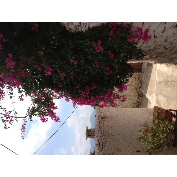 รูปถ่าย กรีก(Greece) เกาะอามอร์กอส(Amorgos) 2014-07 117