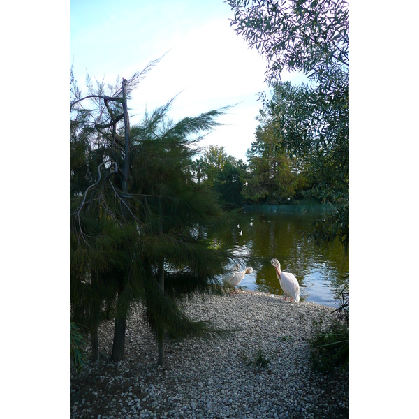 รูปถ่าย ฝรั่งเศส(France) นีส(Nice) สวนฟีนิกซ์(Phoenix Parc) 2007-10 58