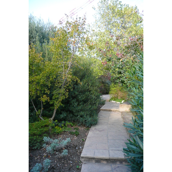 รูปถ่าย ฝรั่งเศส(France) นีส(Nice) สวนฟีนิกซ์(Phoenix Parc) 2007-10 59