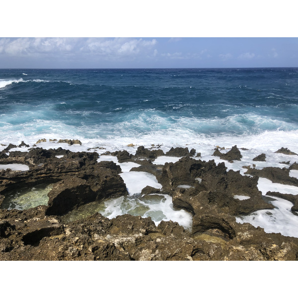 รูปถ่าย กวาเดอลูป(Guadeloupe) แหลมคาสเซิลพอยต์(Castle Point) 2021-02 287