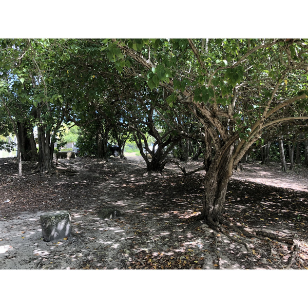 รูปถ่าย กวาเดอลูป(Guadeloupe) แซ็งฟร็องซัว(Saint Francois) 2021-02 0