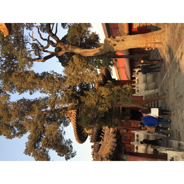 รูปถ่าย จีน(China) ปักกิ่ง(Beijing) พระราชวังต้องห้าม(Forbidden City) 2015-12 200