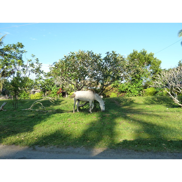 รูปถ่าย ฟิจิ(Fiji) ถนนจากนาดีไปซิงกาโตกา(Nadi to Sigatoka road) 2010-05 15