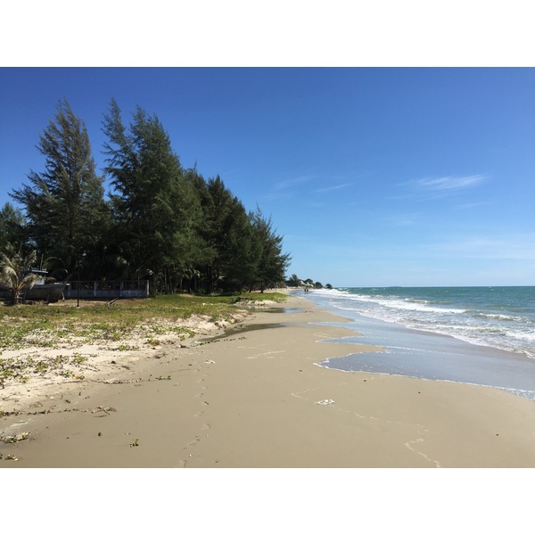 รูปถ่าย ไทย(Thailand) โรงแรมแมริออท ระยอง(Marriott Rayong) 2016-01 73
