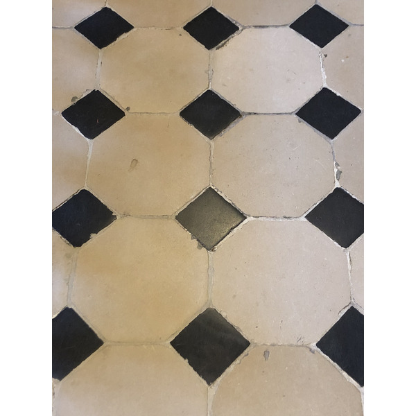 รูปถ่าย ฝรั่งเศส(France) ฟงเทนโบล(Fontainebleau) 2019-04 469