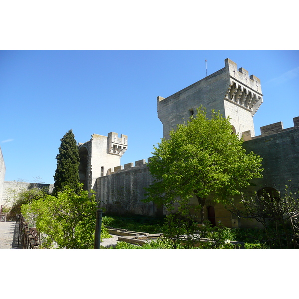 รูปถ่าย ฝรั่งเศส(France) ตาราสกง(Tarascon) ปราสาทตาราสกง(Tarascon Castle) 2008-04 1