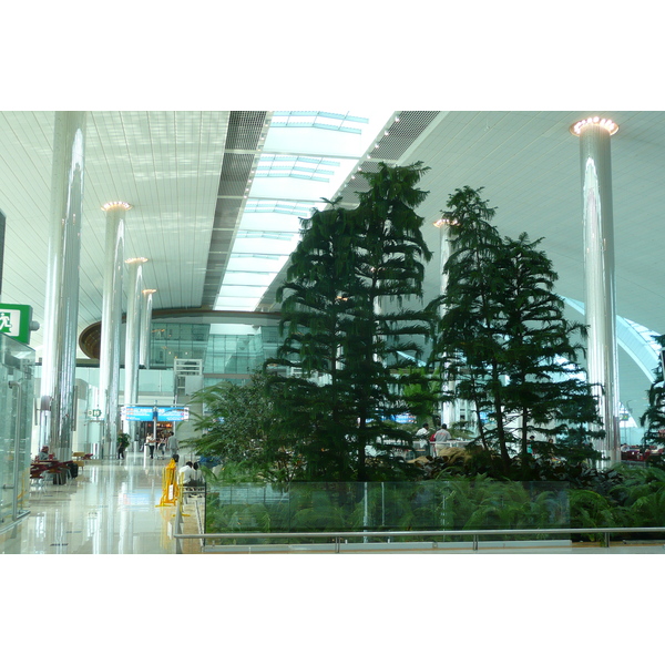 รูปถ่าย สหรัฐอาหรับเอมิเรตส์(United Arab Emirates) ดูไบ(Dubai) สนามบินดูไบ(Dubai International Airport) 2009-01 6