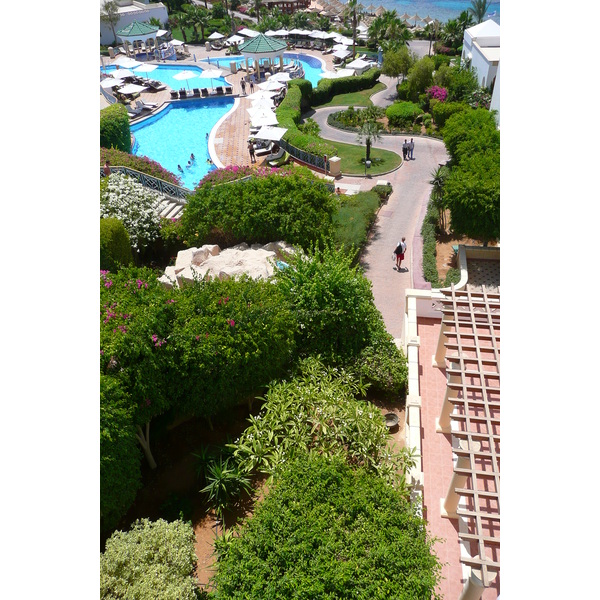 รูปถ่าย อียิปต์(Egypt) ชาร์มเอลชีค(Sharm el Sheikh) โรงแรมไฮแอต(Hyatt Hotel) สระว่ายน้ำไฮแอต ชาร์มเอลชีค(Hyatt Sharm el Sheikh Pool) 2008-06 54