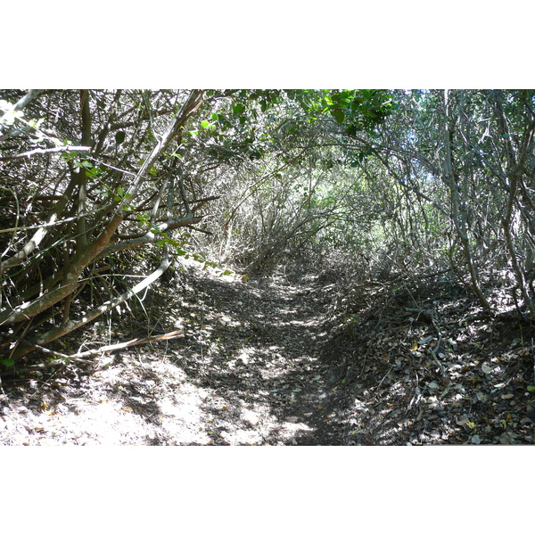 รูปถ่าย แอฟริกาใต้(South Africa) หุบเขาเนเจอร์ส(Nature's Valley) 2008-09 15