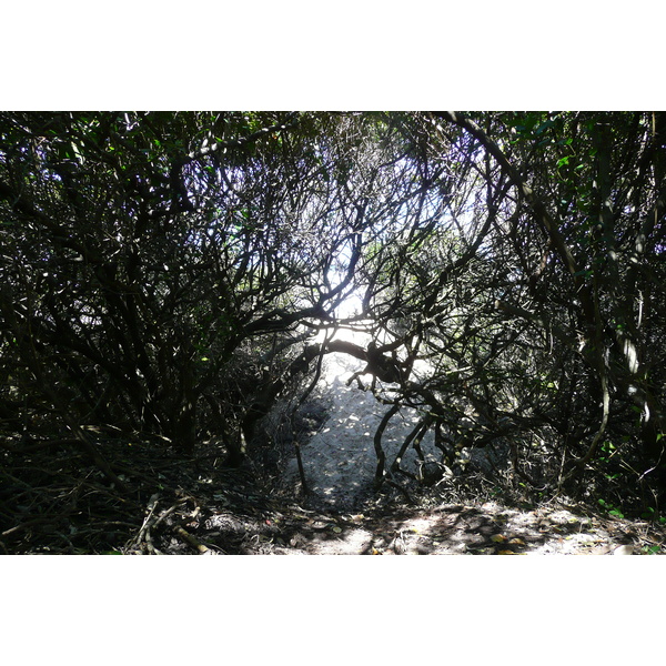 รูปถ่าย แอฟริกาใต้(South Africa) หุบเขาเนเจอร์ส(Nature's Valley) 2008-09 53