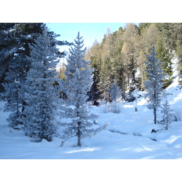 รูปถ่าย สวิสเซอร์แลนด์(Switzerland) เซนต์มอริตซ์ ชลาริญญา(St Moritz Schlarigna) 2007-01 79