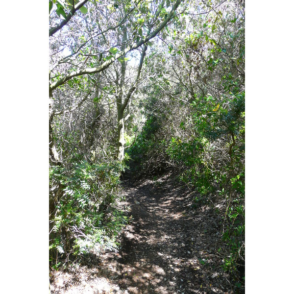 รูปถ่าย ฝรั่งเศส(France) เกาะปอร์เกอรอล(Porquerolles Island) แหลมเลอแก็ง(Pointe du Lequin) 2008-05 29