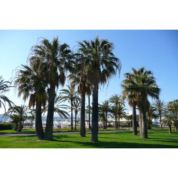 รูปถ่าย ฝรั่งเศส(France) คานส์(Cannes) ท่าเรือปีแยร์ก็องโต(Port Pierre Canto) 2008-05 50