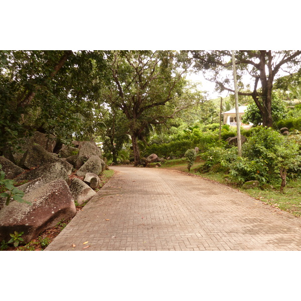 รูปถ่าย เซเชลส์(Seychelles) เกาะลาดีก(La Digue) 2011-10 1