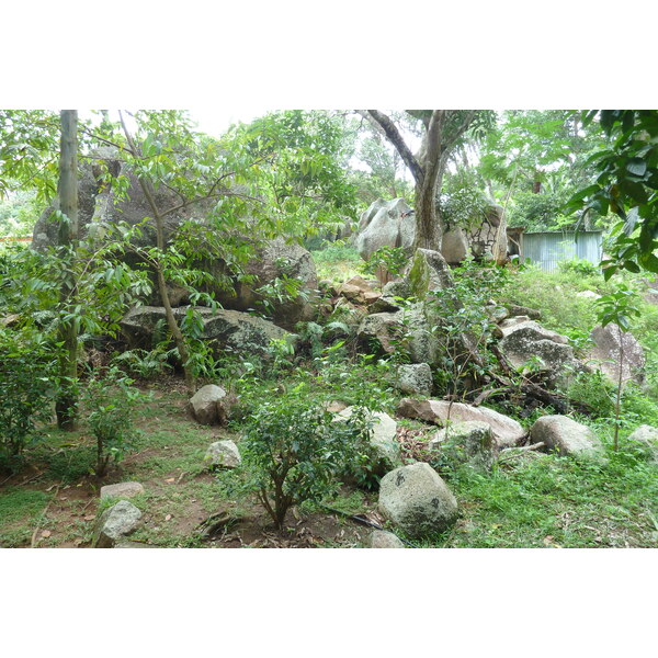 รูปถ่าย เซเชลส์(Seychelles) เกาะลาดีก(La Digue) 2011-10 253