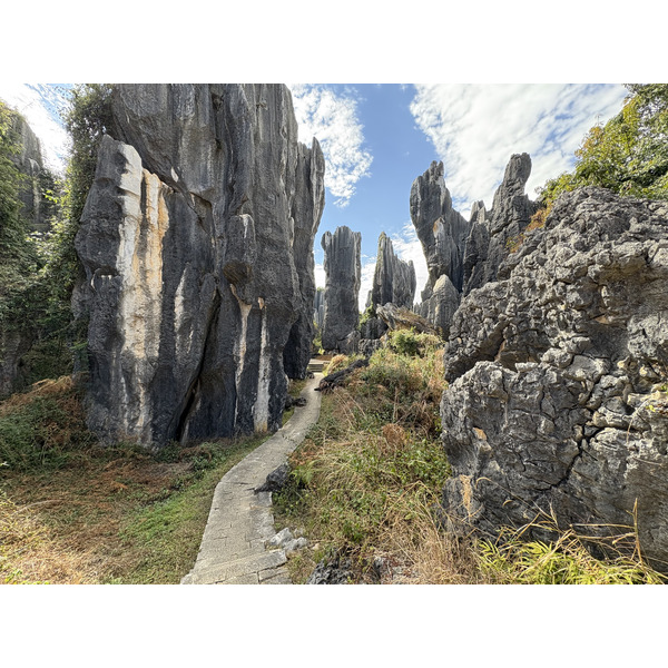 รูปถ่าย จีน(China) ป่าหินสือหลิน(Shilin Stone Forest) 2026-01 9