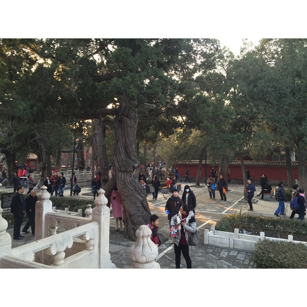รูปถ่าย จีน(China) ปักกิ่ง(Beijing) พระราชวังต้องห้าม(Forbidden City) 2015-12 192