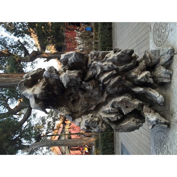 รูปถ่าย จีน(China) ปักกิ่ง(Beijing) พระราชวังต้องห้าม(Forbidden City) 2015-12 149