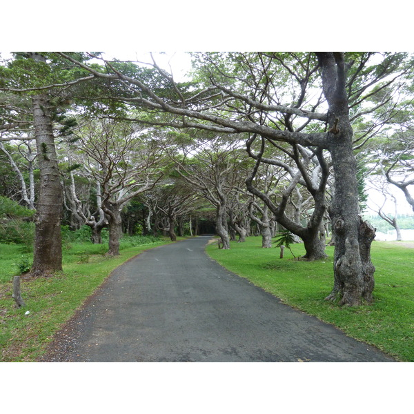 รูปถ่าย นิวแคลิโดเนีย(New Caledonia) 2010-05 92