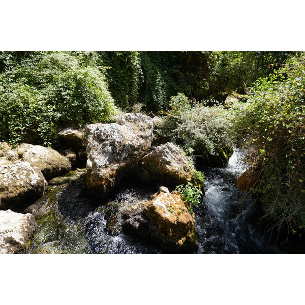 รูปถ่าย ฝรั่งเศส(France) ฟงแตน-เดอ-โวกลูซ(Fontaine-de-Vaucluse) 2017-08 49