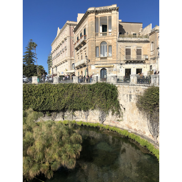รูปถ่าย อิตาลี(Italy) ซิซิลี(Sicily) ออร์ตีเจีย(Ortigia) 2020-02 199
