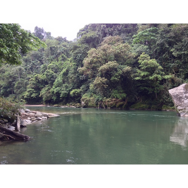 รูปถ่าย คอสตาริกา(Costa Rica) แม่น้ำปากัวเร(Pacuare River) 2015-03 2