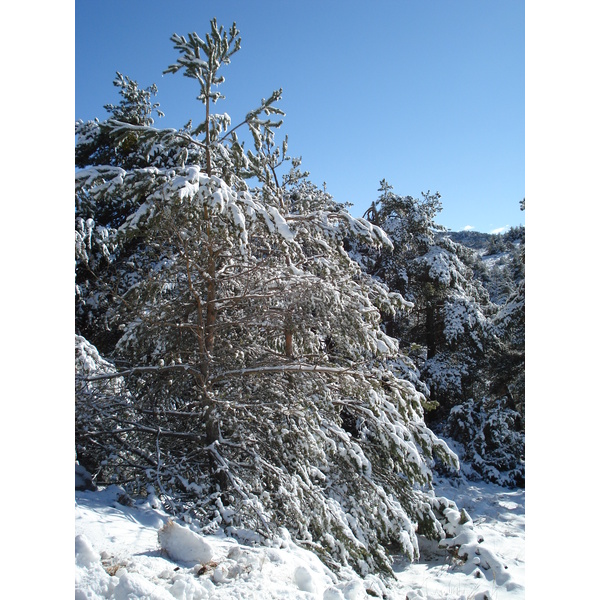 รูปถ่าย ฝรั่งเศส(France) ถนนจากกูร์เซกูลไปเกรโอลีแยร์-เล-เนจ(Coursegoule to Greolieres les neiges road) 2007-01 53