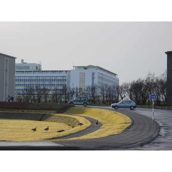 รูปถ่าย ไอซ์แลนด์(Iceland) เรกยะวิก(Reykjavik) โรงแรมแรดิสัน เอสเอเอส(Radisson SAS Hotel) 2003-03 12