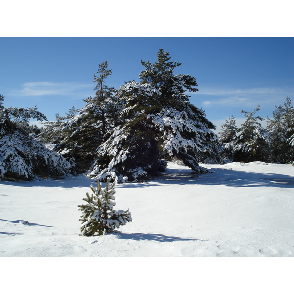รูปถ่าย ฝรั่งเศส(France) เกรโอลีแยร(Greolieres les neiges) 2007-01 1