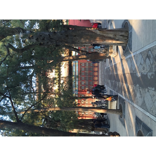 รูปถ่าย จีน(China) ปักกิ่ง(Beijing) พระราชวังต้องห้าม(Forbidden City) 2015-12 155