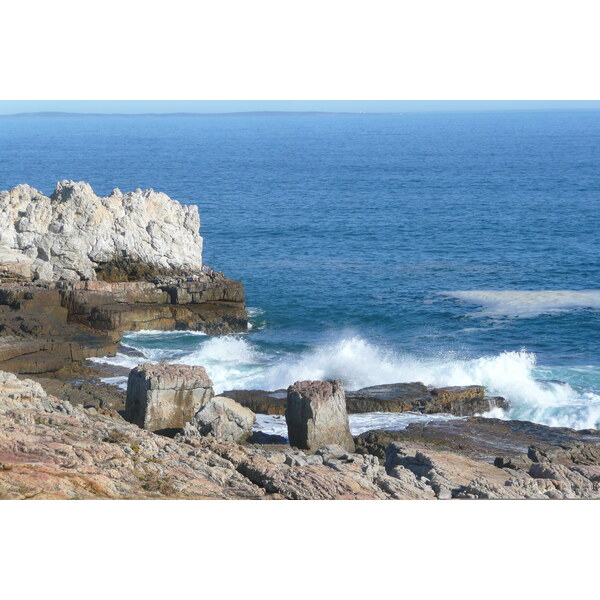 รูปถ่าย แอฟริกาใต้(South Africa) เฮอร์มานัส(Harmanus) 2008-09 170