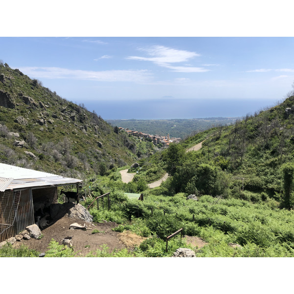 รูปถ่าย ฝรั่งเศส(France) คอร์สิคา(Corsica) 2021-05 54