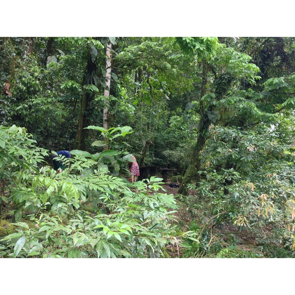 รูปถ่าย คอสตาริกา(Costa Rica) แม่น้ำปากัวเร(Pacuare River) 2015-03 27
