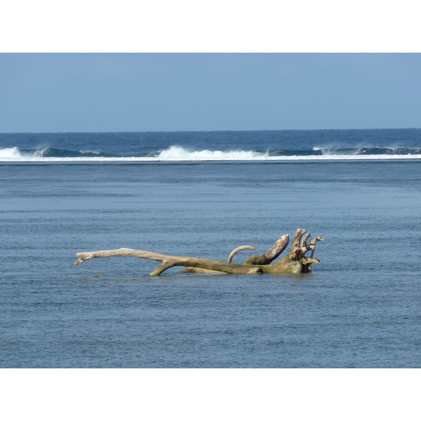 รูปถ่าย ฟิจิ(Fiji) รีสอร์ตแชงกรี-ลาฟิเจียน(Shangri La Fijian Resort) 2010-05 30