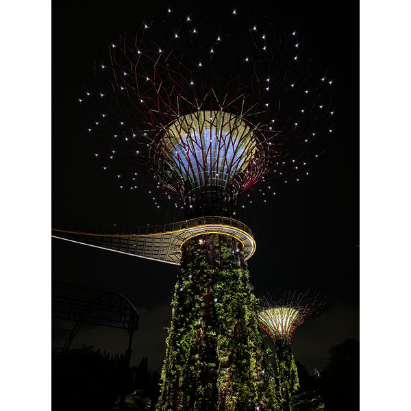 รูปถ่าย สิงคโปร์(Singapore) การ์เดนส์บายเดอะเบย์(Garden by the bay) 2023-01 44