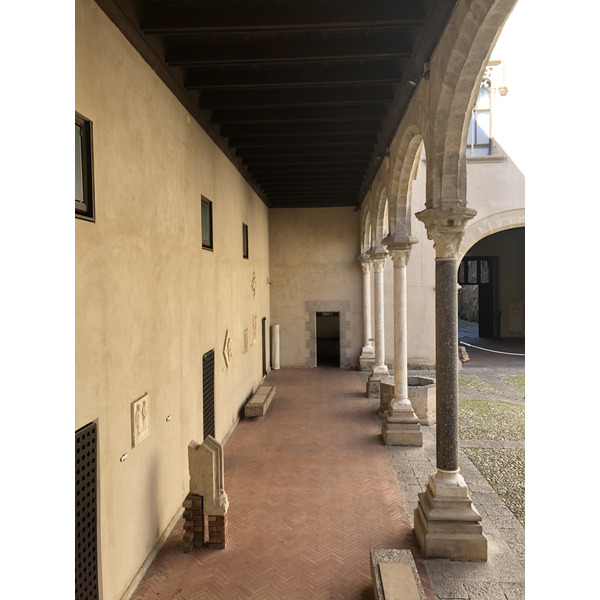 รูปถ่าย อิตาลี(Italy) ซิซิลี(Sicily) ปาแลร์โม(Palermo) วังอาบาเตลลิส(Palazzo Abatellis) 2020-02 101