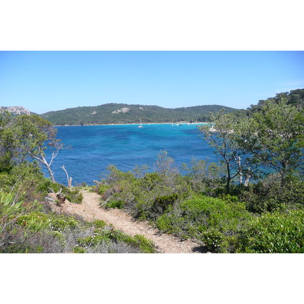 รูปถ่าย ฝรั่งเศส(France) เกาะปอร์เกอรอล(Porquerolles Island) หาดอาลีกัสตร์(Alycastre beach) 2008-05 5