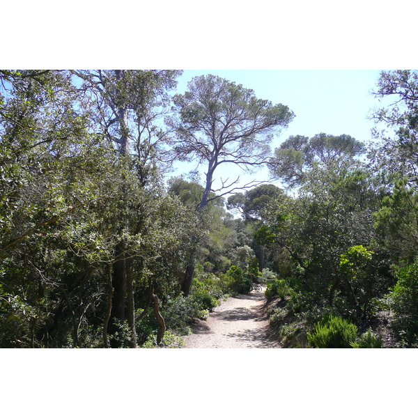 รูปถ่าย ฝรั่งเศส(France) เกาะปอร์เกอรอล(Porquerolles Island) หาดอาลีกัสตร์(Alycastre beach) 2008-05 0