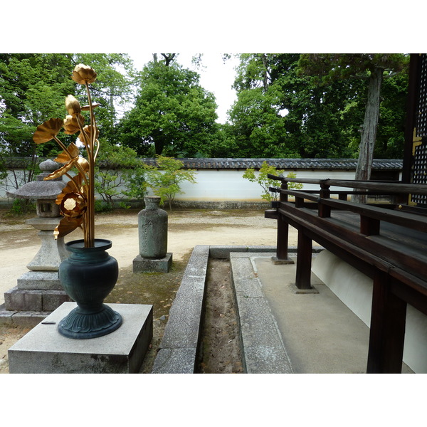 รูปถ่าย ญี่ปุ่น(Japan) เกียวโต(Kyoto) วัดนินนะจิ(Ninna ji Temple) 2010-06 27