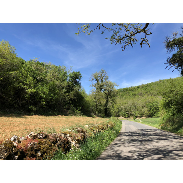 รูปถ่าย ฝรั่งเศส(France) ฟลัวรัก(Floirac) 2018-04 24