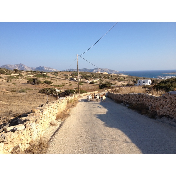 รูปถ่าย กรีก(Greece) เกาะคูโฟนิสเซีย(Koufonissia) 2014-07 9
