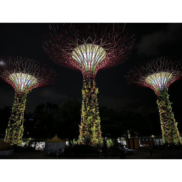 รูปถ่าย สิงคโปร์(Singapore) การ์เดนส์บายเดอะเบย์(Garden by the bay) 2023-01 12