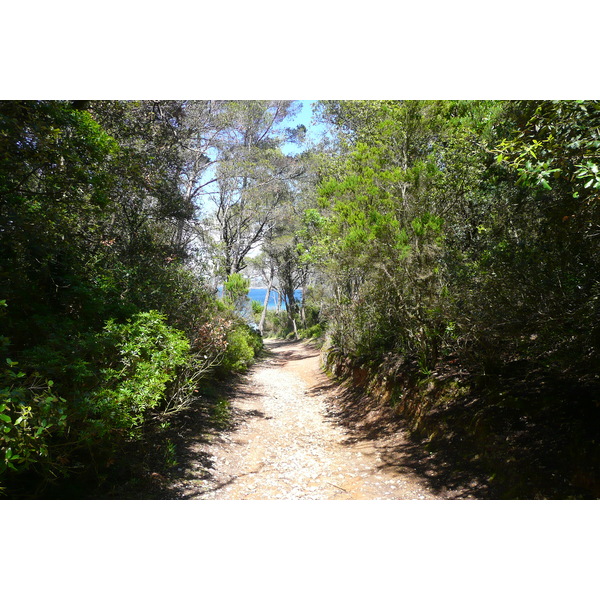รูปถ่าย ฝรั่งเศส(France) เกาะปอร์เกอรอล(Porquerolles Island) หาดอาลีกัสตร์(Alycastre beach) 2008-05 13