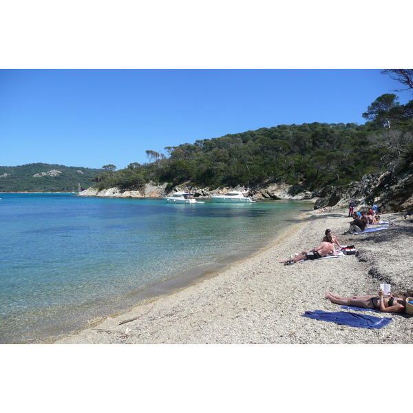รูปถ่าย ฝรั่งเศส(France) เกาะปอร์เกอรอล(Porquerolles Island) หาดอาลีกัสตร์(Alycastre beach) 2008-05 9