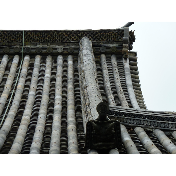 รูปถ่าย ญี่ปุ่น(Japan) เกียวโต(Kyoto) วัดนินนะจิ(Ninna ji Temple) 2010-06 78