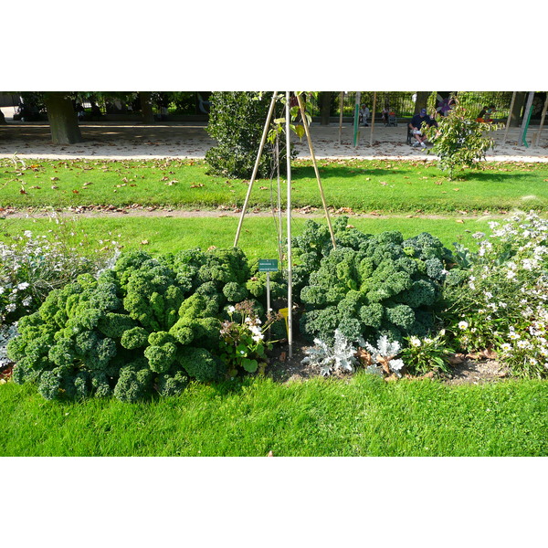 รูปถ่าย ฝรั่งเศส(France) ปารีส(Paris) สวนพันธ์ุพืช(Jardin des Plantes) 2007-08 141